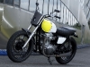 Kawasaki-W800-Starck-Boxer-5