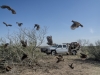 2004 Chevrolet Silverado K2500 HD Crew Cab