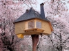 taschen_tree_houses_1