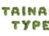 sustainable-type