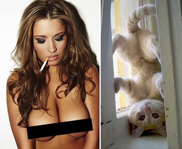 Kitties with titties