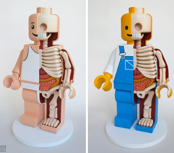 Lego Anatomy